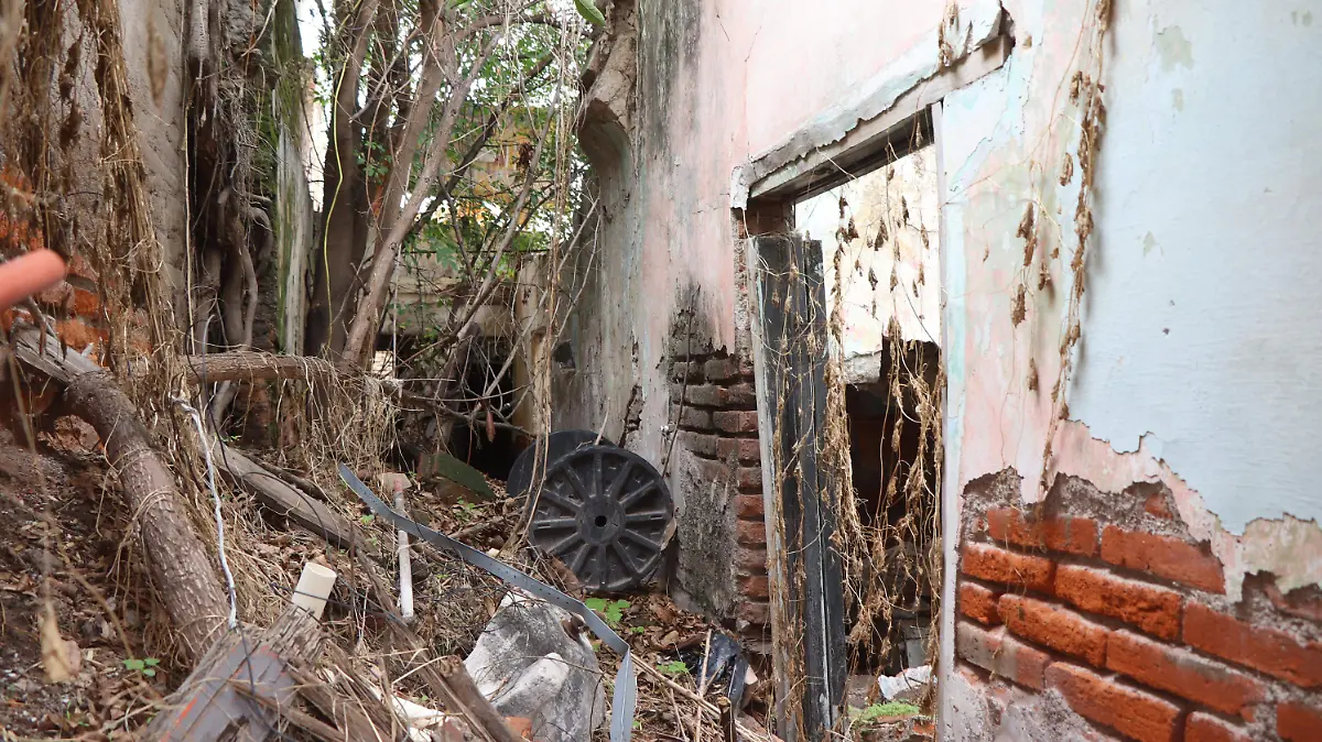 FINCA (4)