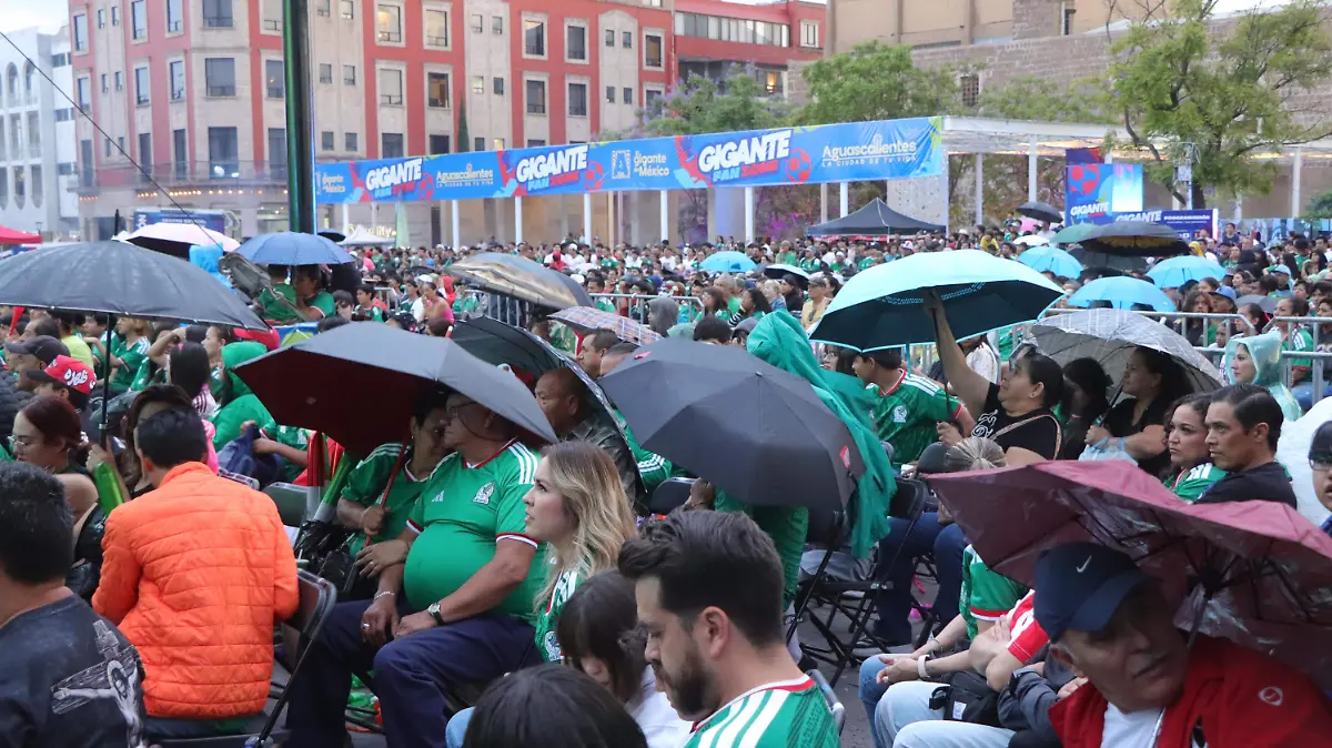 FAN ZONE CLIMA 2