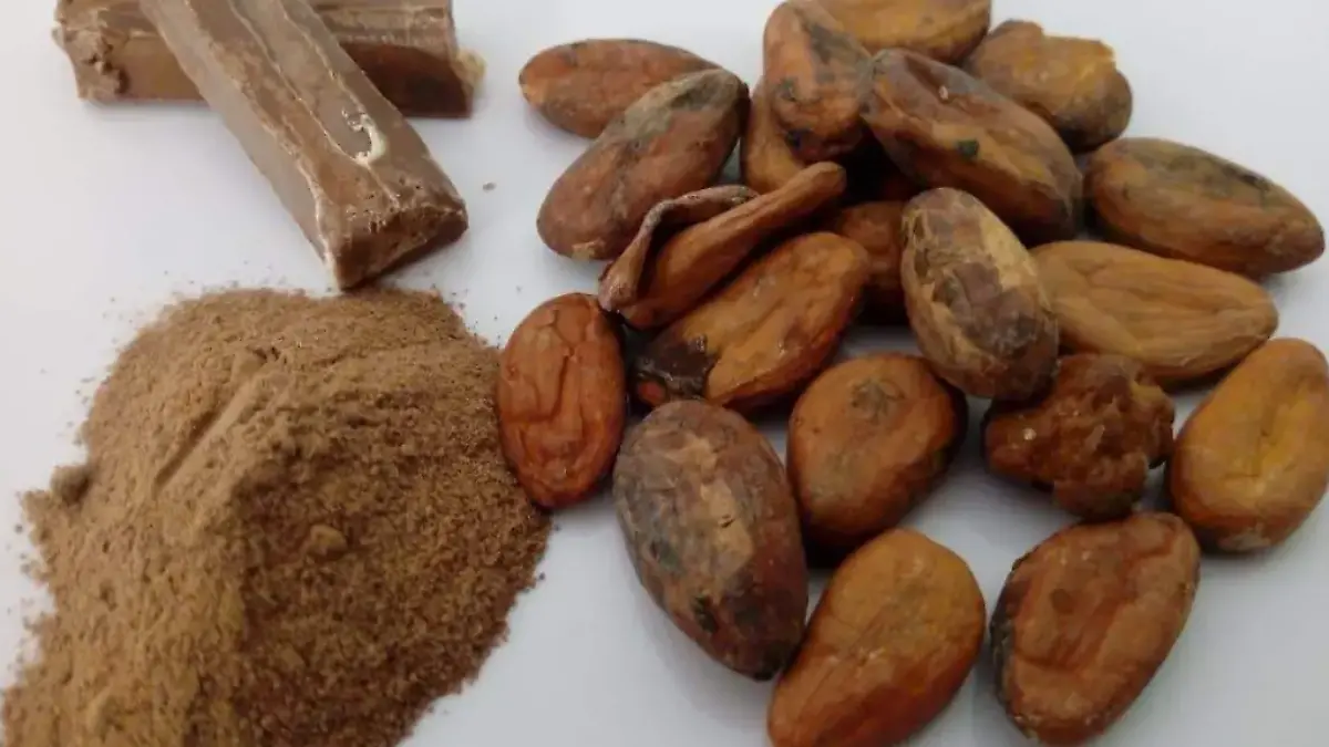CACAO 2