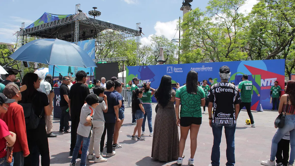 FAN ZONE (4)