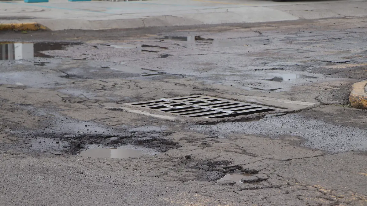 BACHES 4