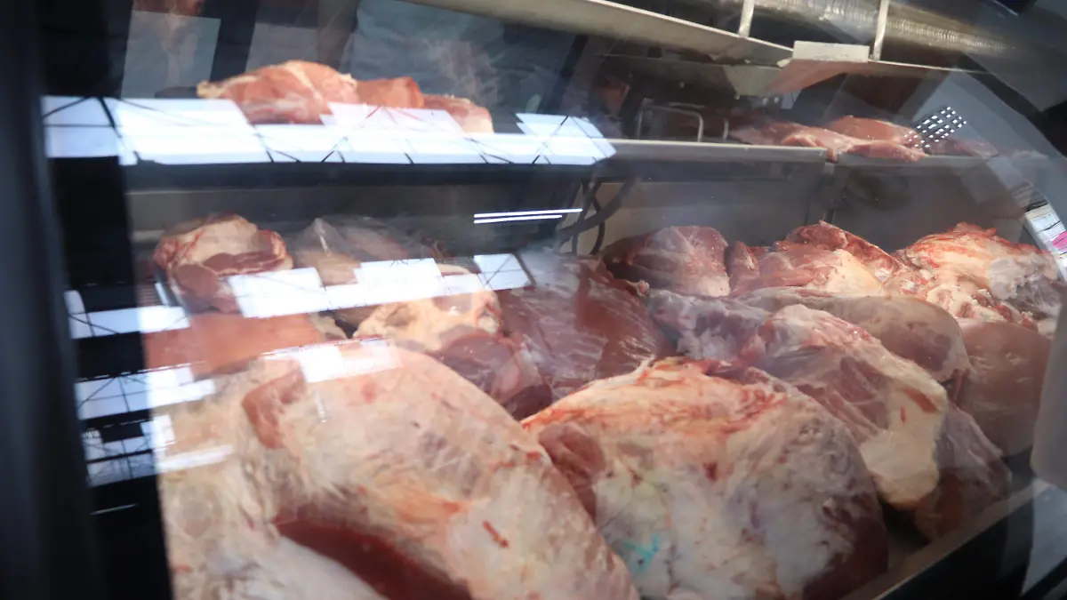 CARNE 3