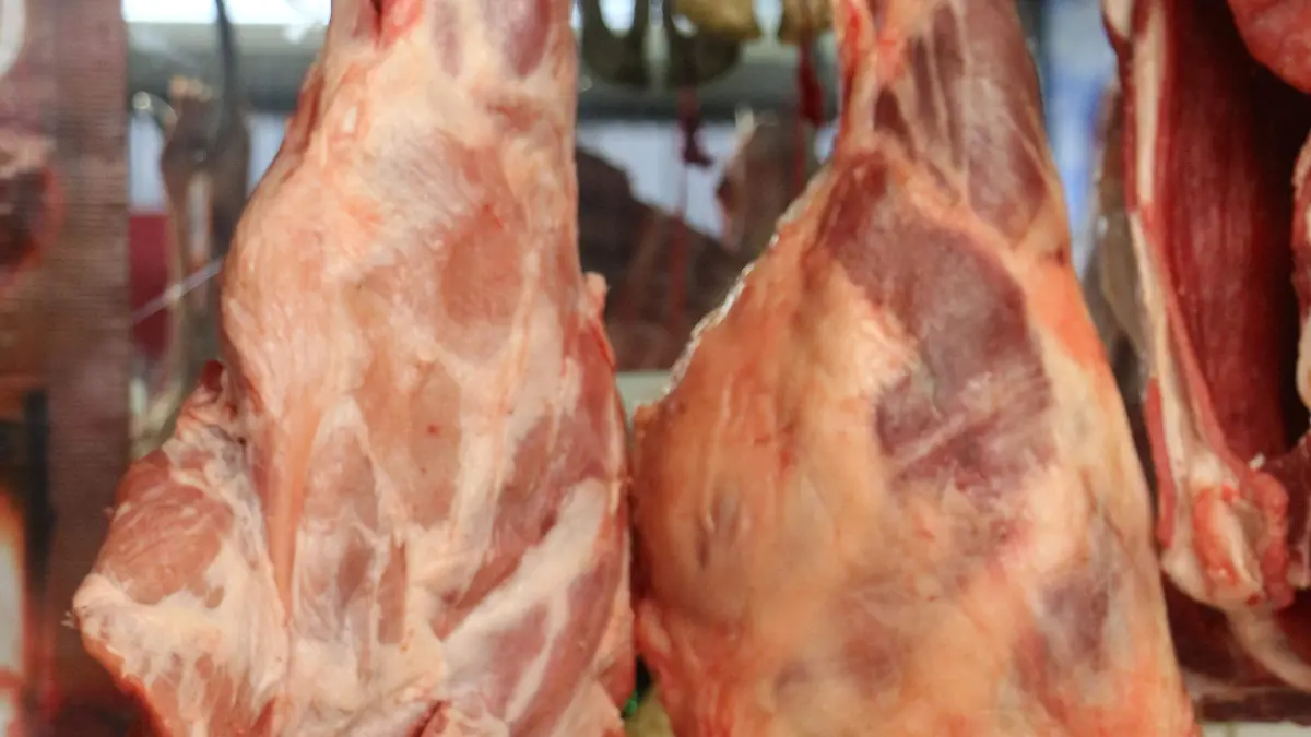 CARNE (5)