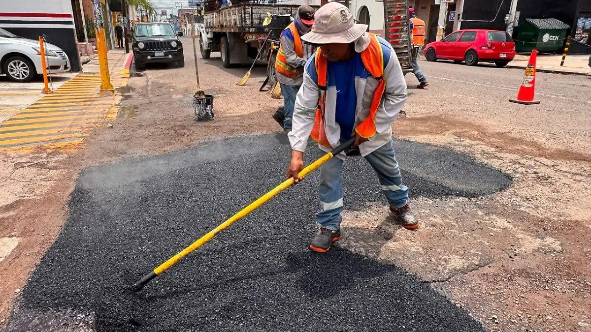 BACHE 1