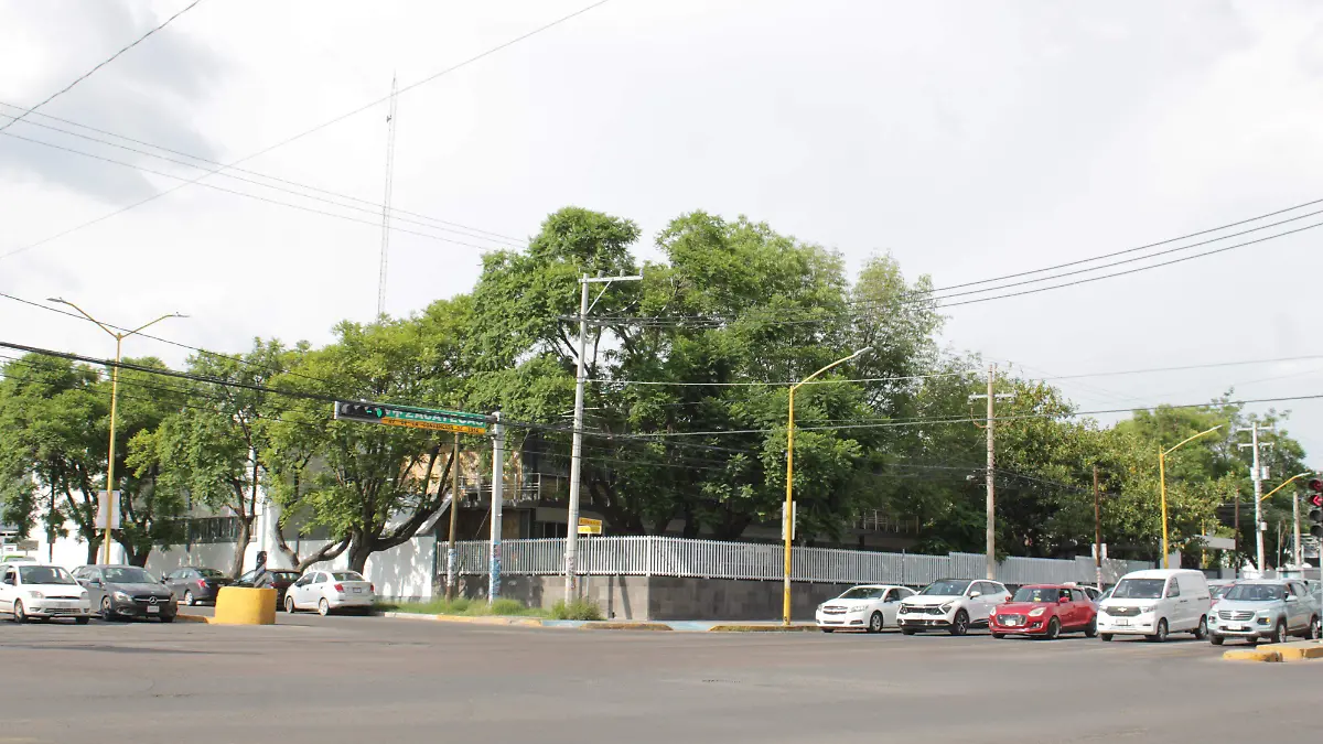 BACHUAA (2)