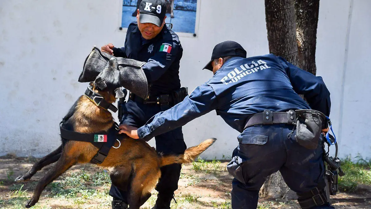 AGENTES CANINOS