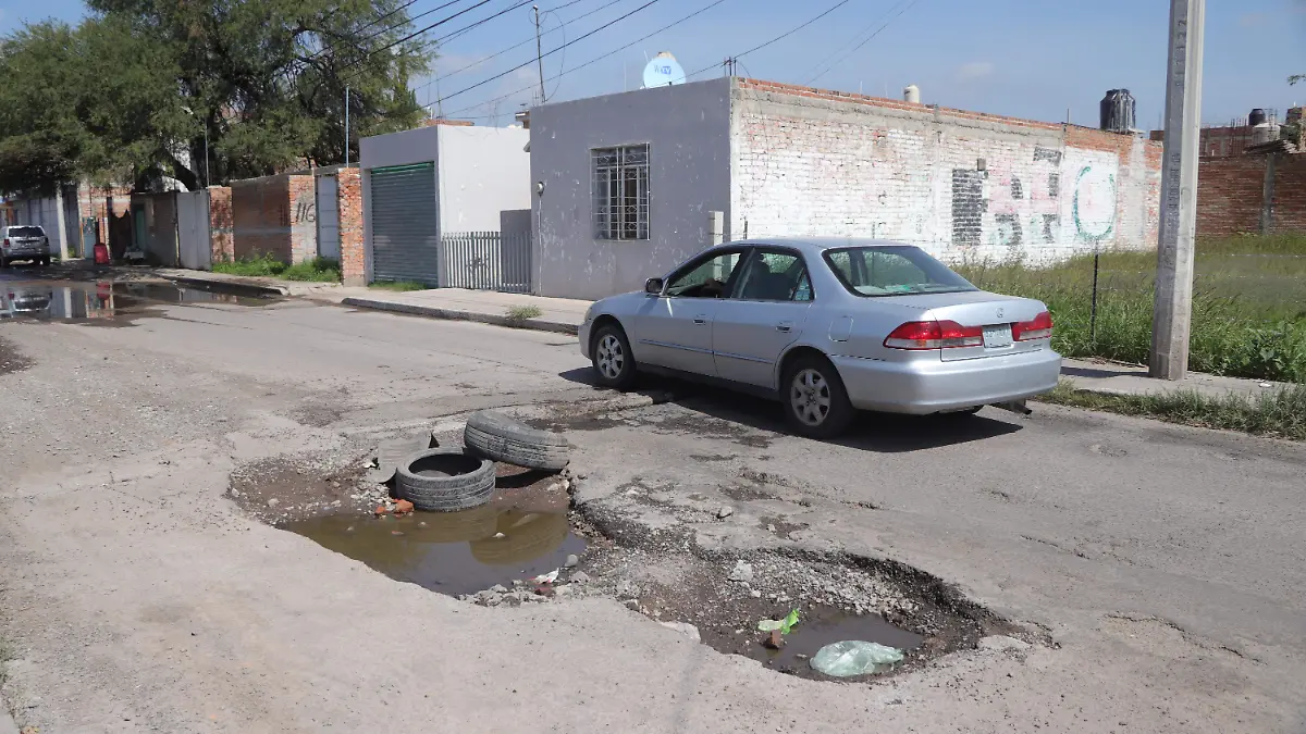BACHES (8)