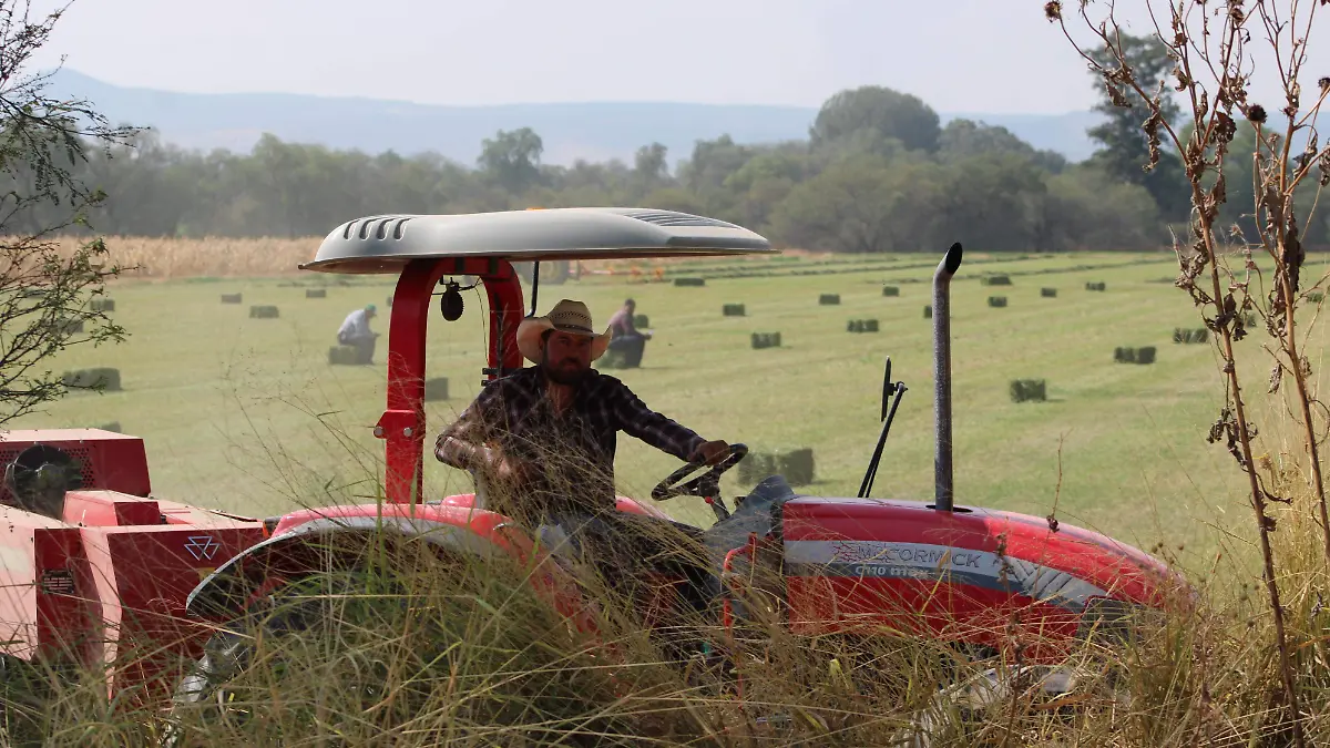 CAMPESINOS (1)