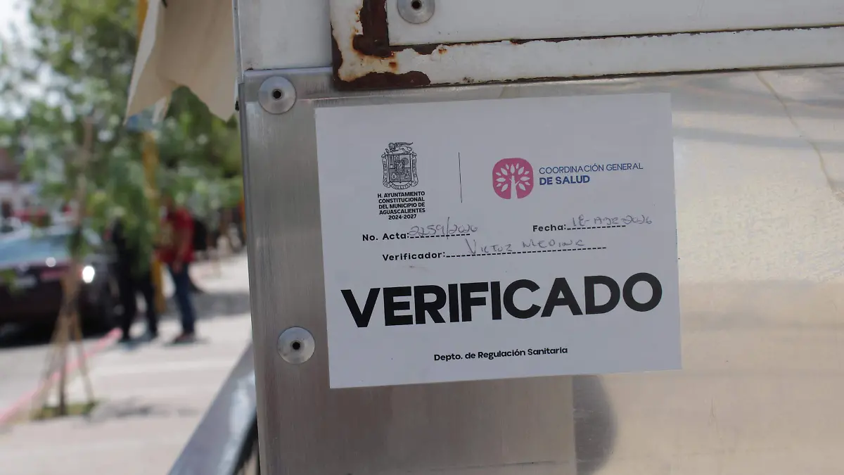 VERIFICADORES 1
