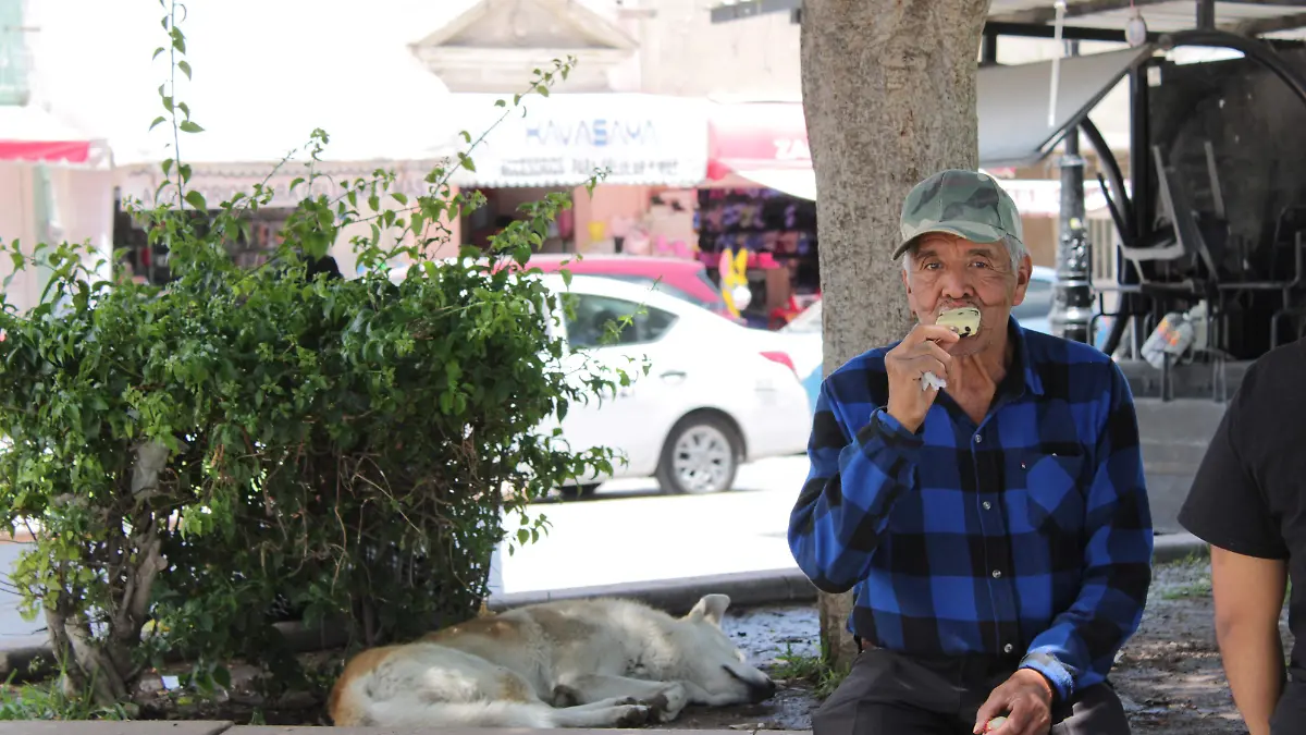 ABUELO (2)