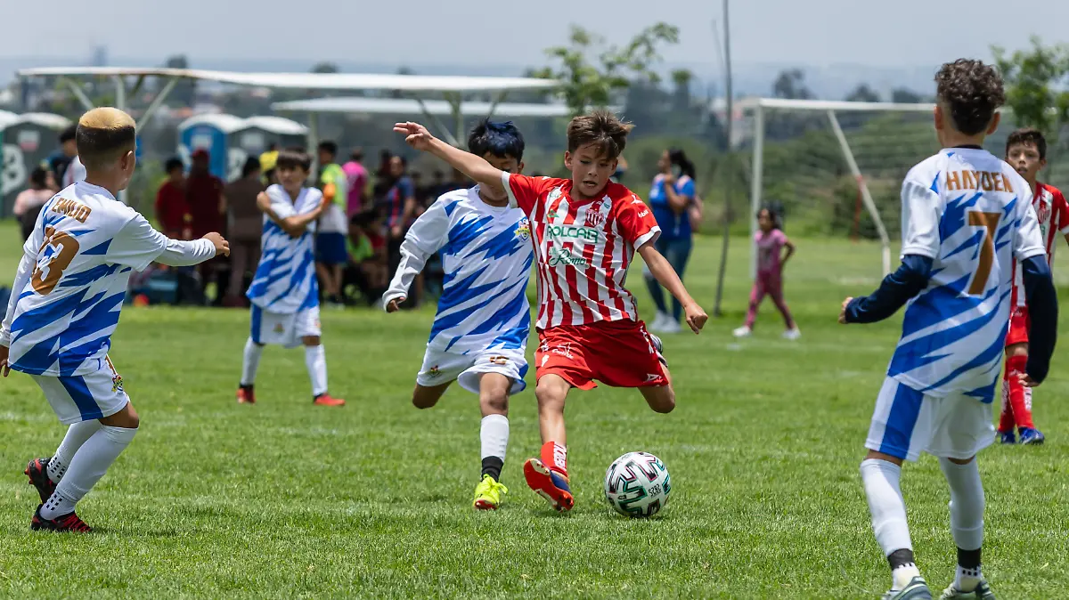 COPA3