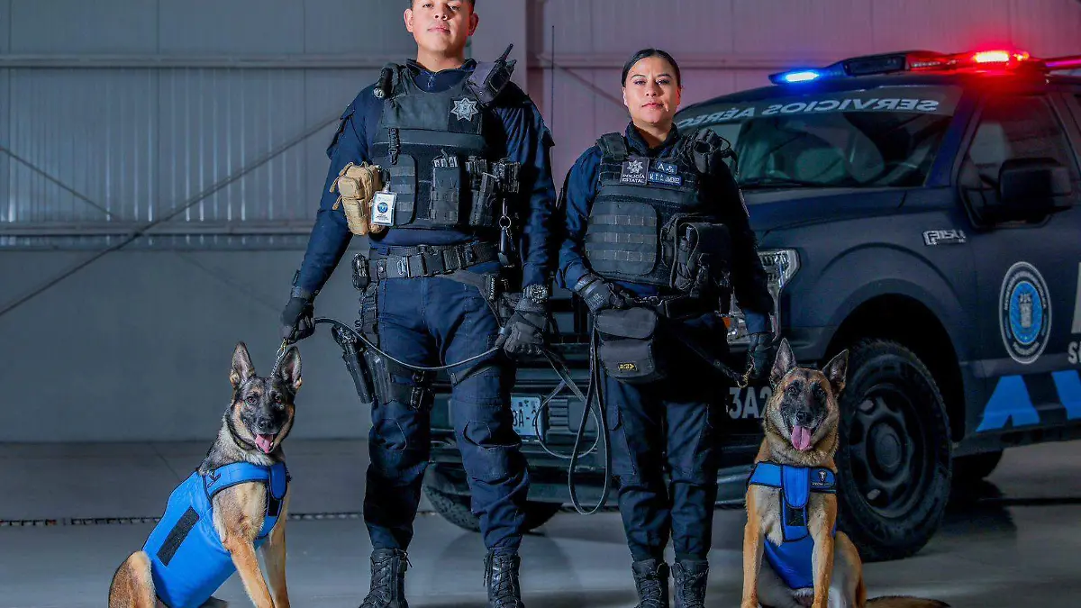 POLIS