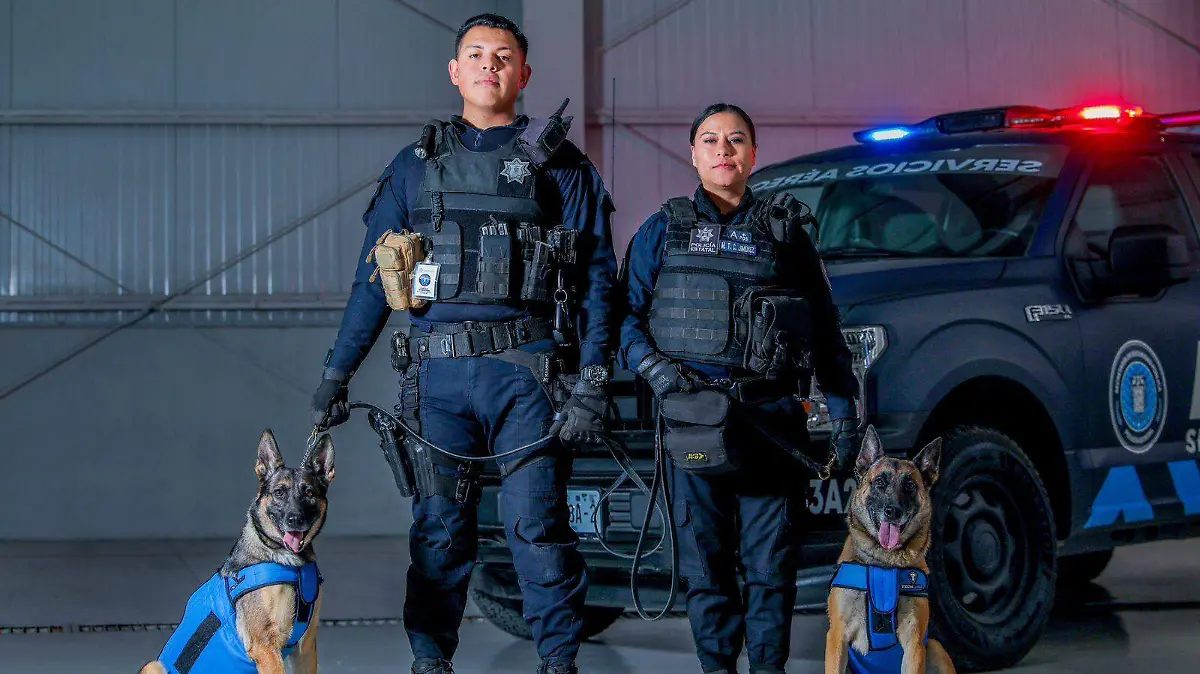 POLIS