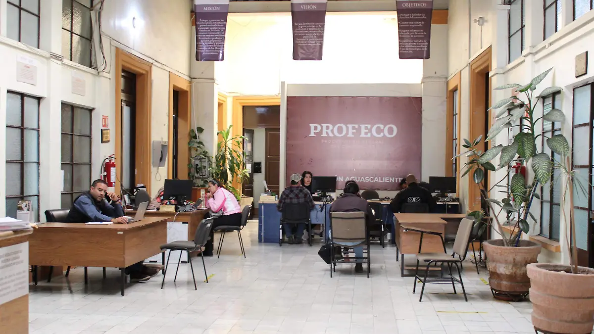 PROFECO 4