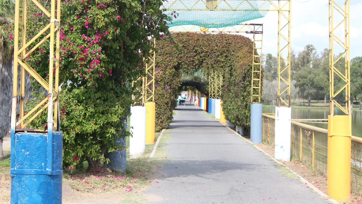 EL CEDAZO (146)