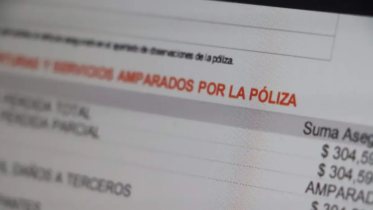 POLIZAS (1)