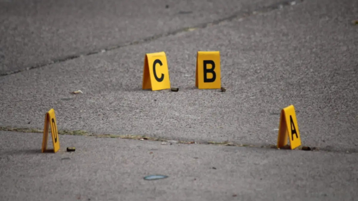 ASESINATOS (1) (1)