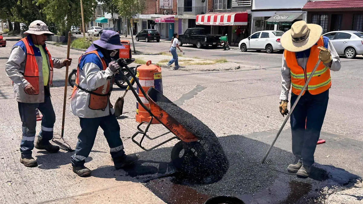 BACHEO 1
