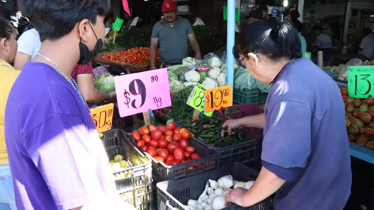 AGUACATE LOCAL (3)
