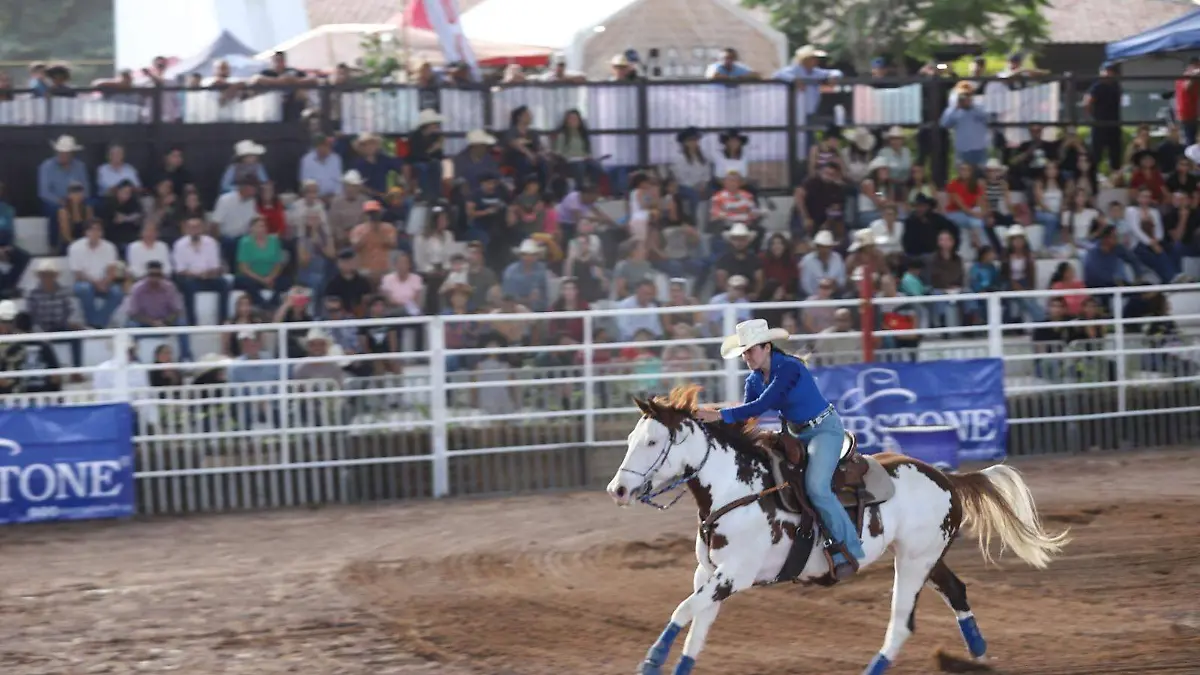 EXITO CABALLO 1