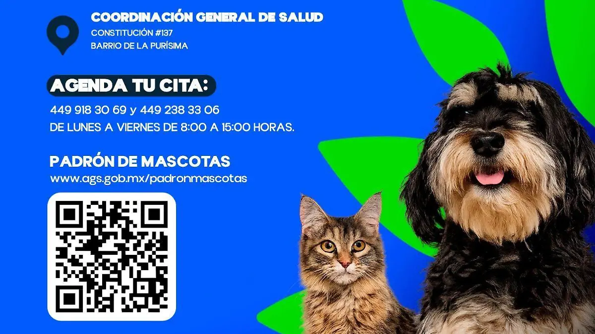 Boletin-46-esterilizaciones-Purisima