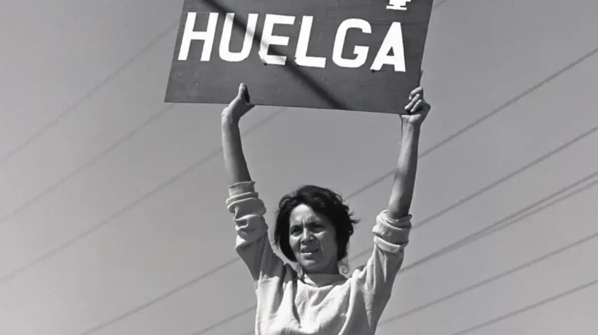Captura de pantalla 2026-08-22 114235