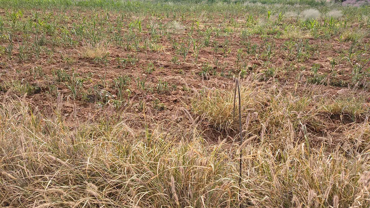TIERRA SECA 2