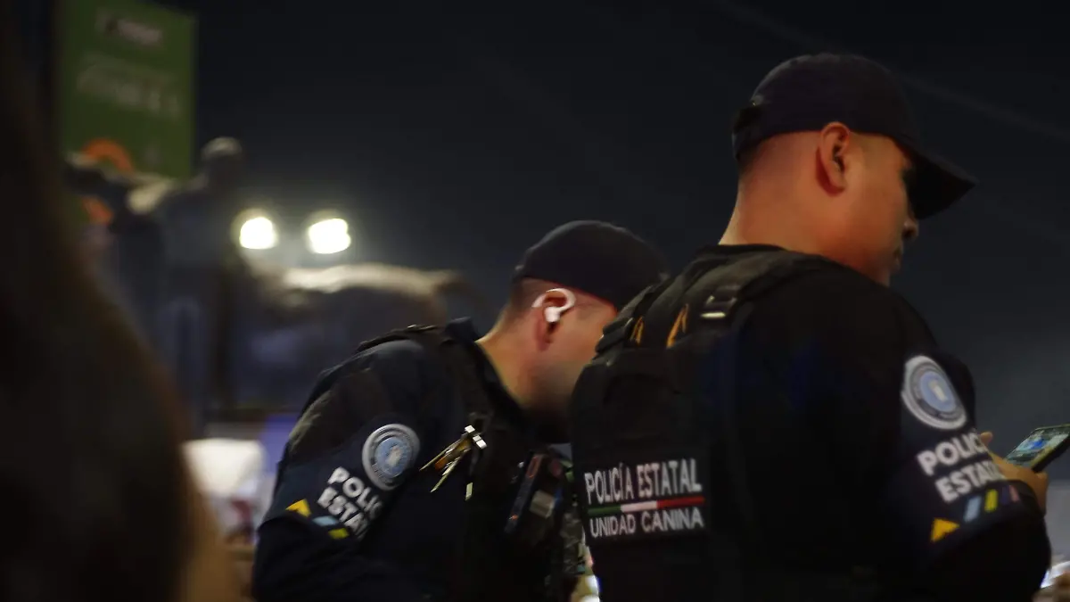 Policías 2
