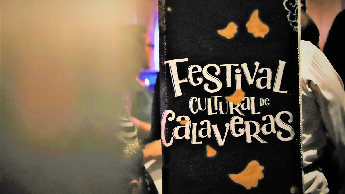 FESTIVAL 5