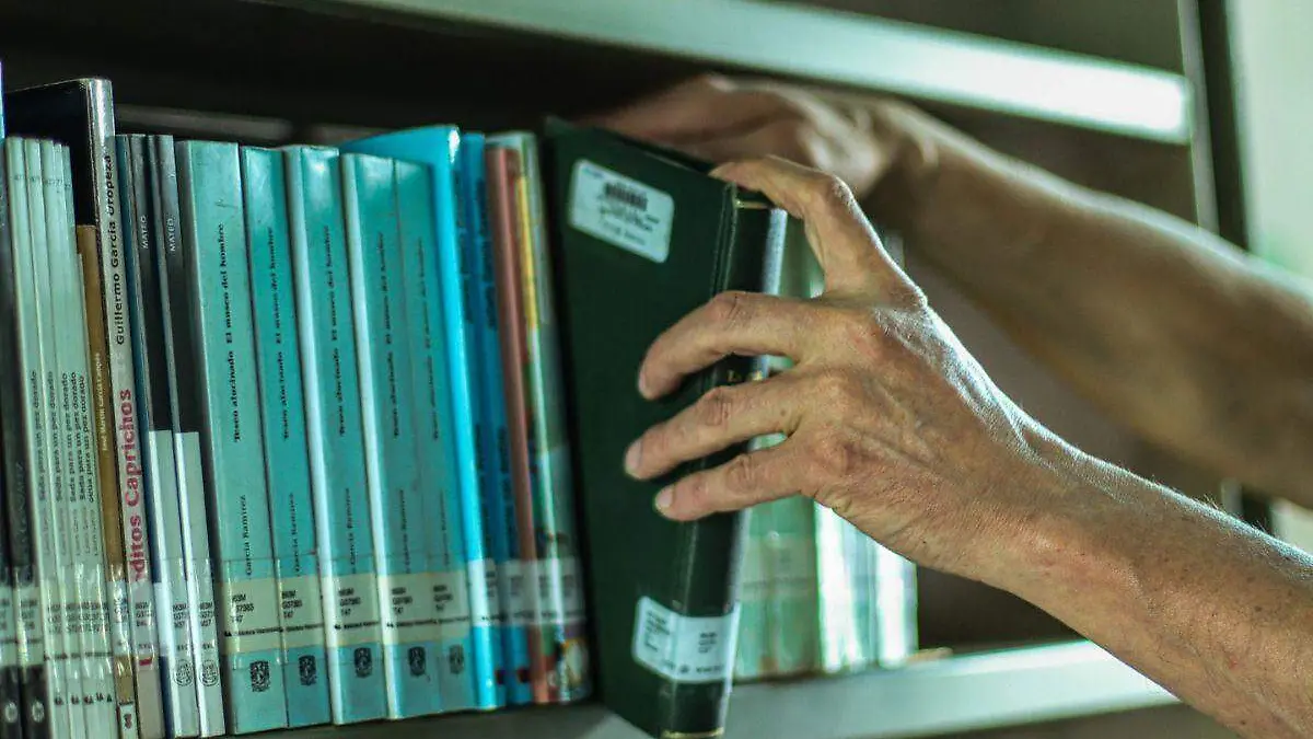 lectura-día del libro