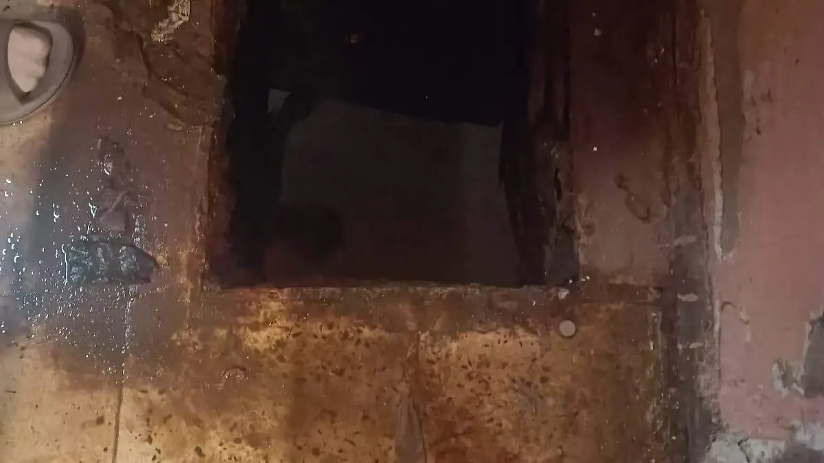 Image 2024-07-20 at 15.04.11