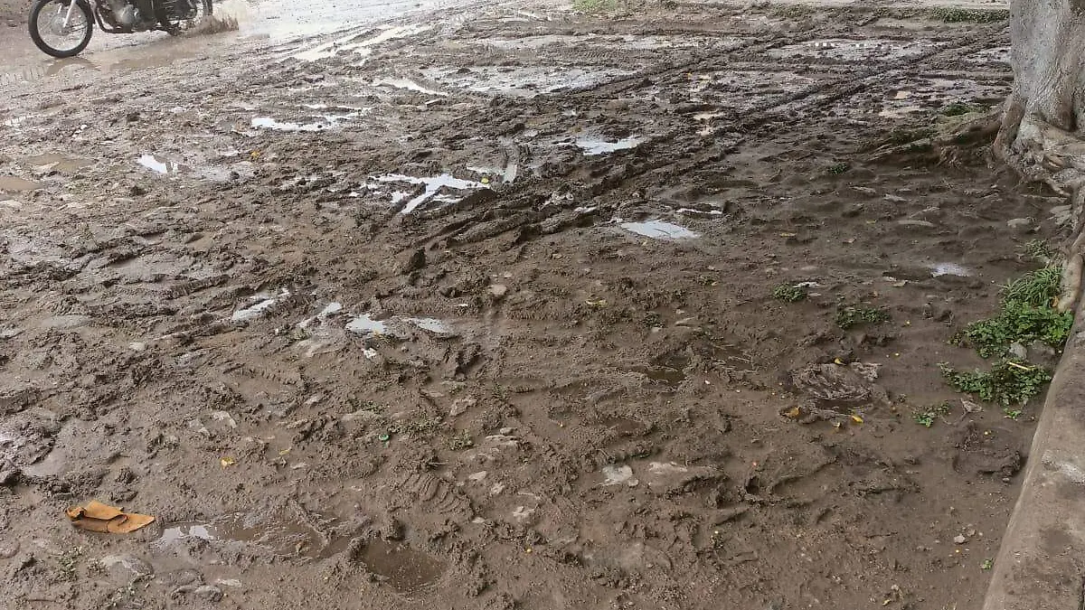 Image 2024-07-20 at 15.18.55-3