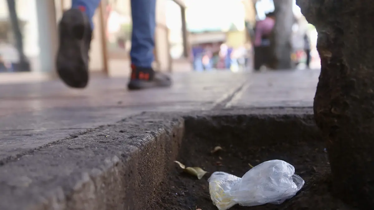 BOLSA DE PLÁSTICO- Fco Meza - El Sol de León (3)