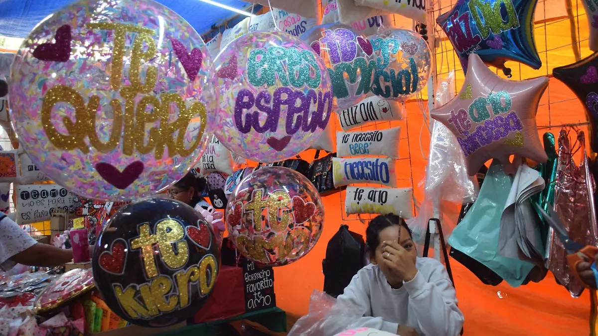 Image 2024-02-13 at 11.41.39 AM