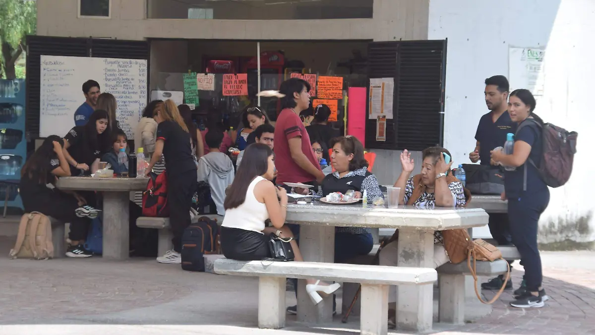 FCARMONA UNAMImage 2024-08-30 at 14.44.28