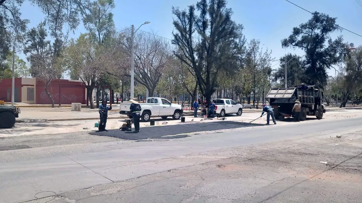 PARADERO PARQUE JUÁREZ - Rosario Horta (5)