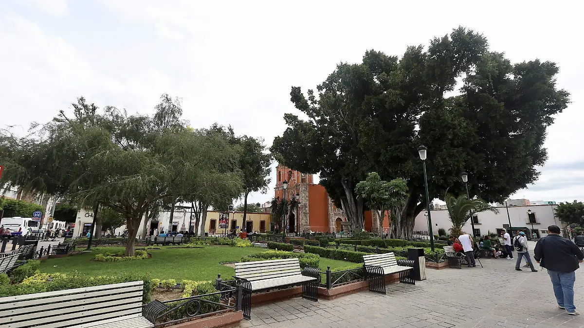 SAN JUAN DE DIOS - Fco Meza - El Sol de León (4)