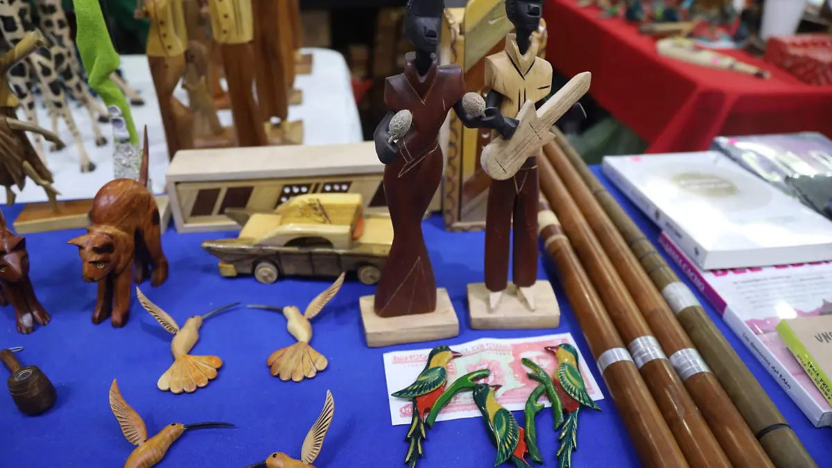 CUBA EN LA FERIA -ROSARIO HORTA (18)