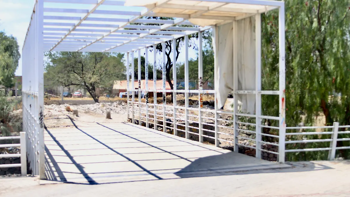 SARDENETA - Fco Meza - El Sol de León (7)