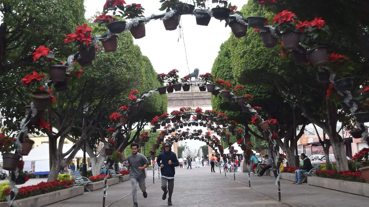 Decoraciones Navideñas Centro _ FRANCISCO CARMONA (1)