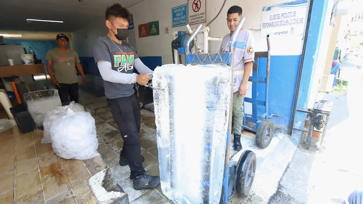 HIELO - Fco Meza - El Sol de León (9)