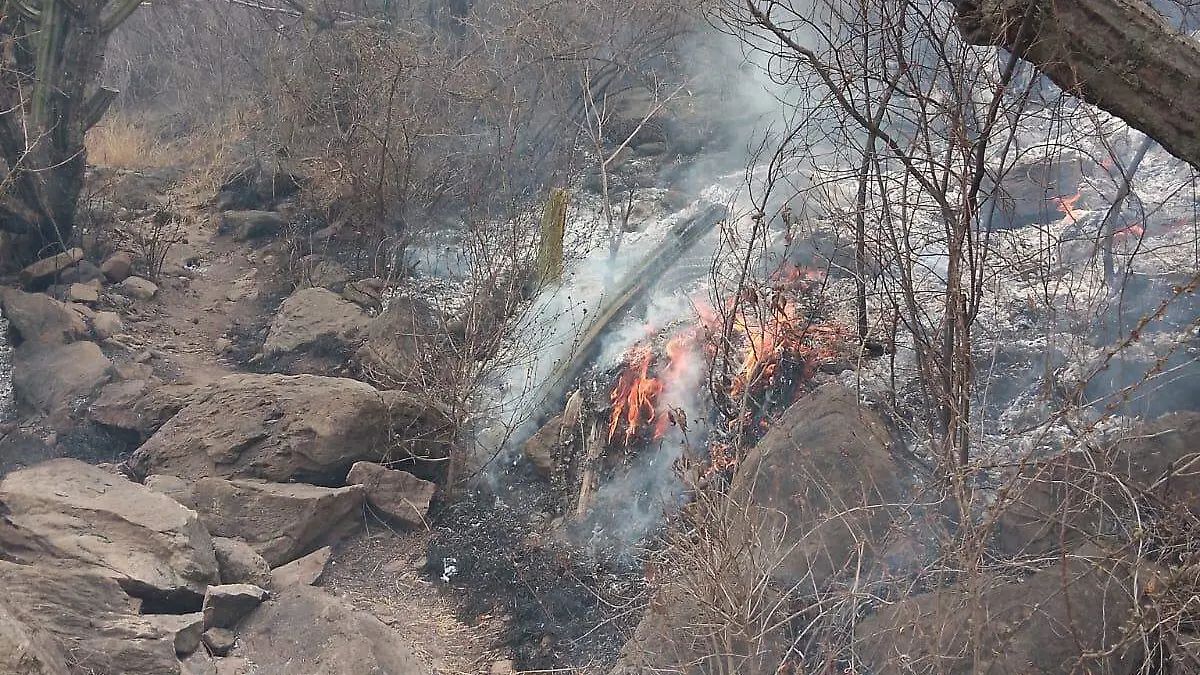 Image 2024-06-06 at 3.26.12 PM (3)