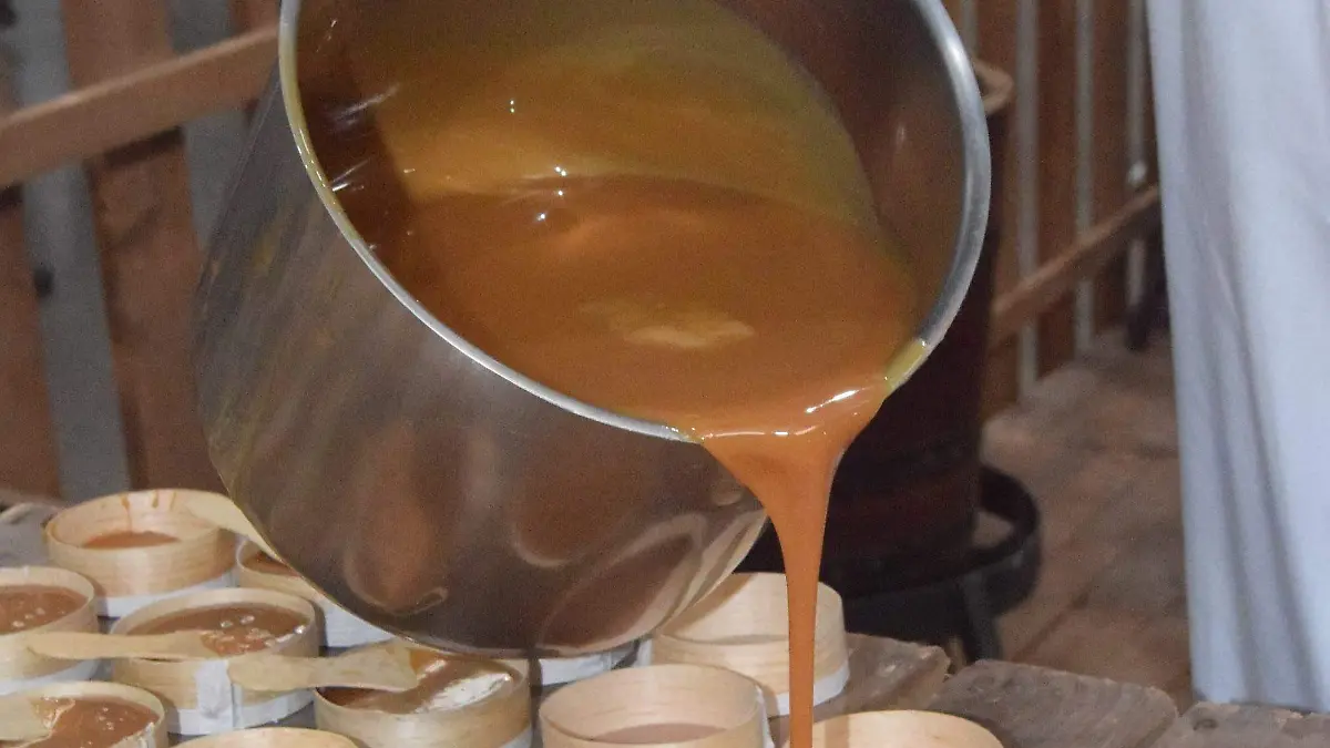 CAJETA_FRANCISCO_CARMONA (3)