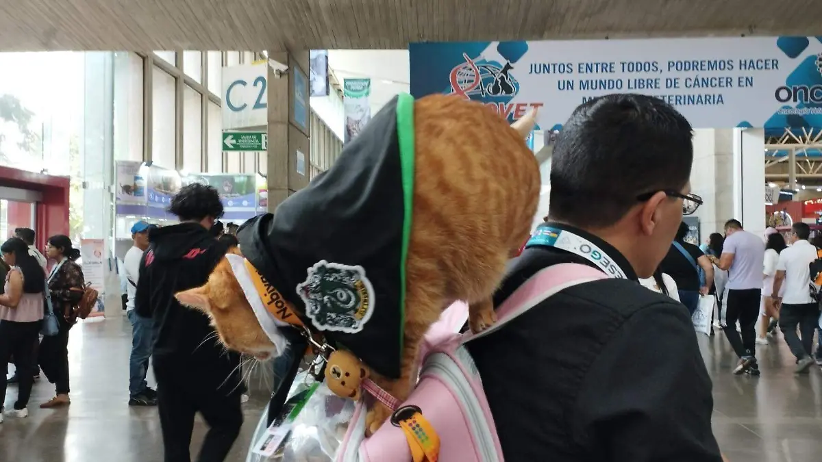 FOTO ISRAEL - Juan Cárdenas Y SPIDER