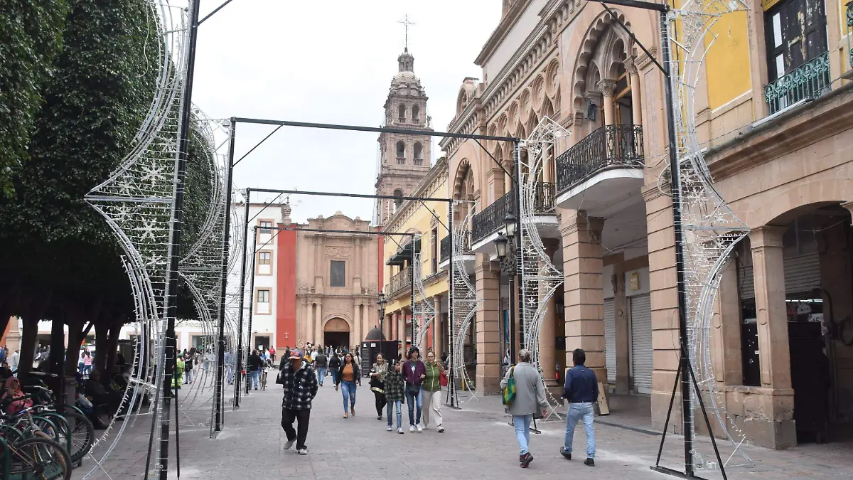 Decoraciones Navideñas Centro _ FRANCISCO CARMONA(8)