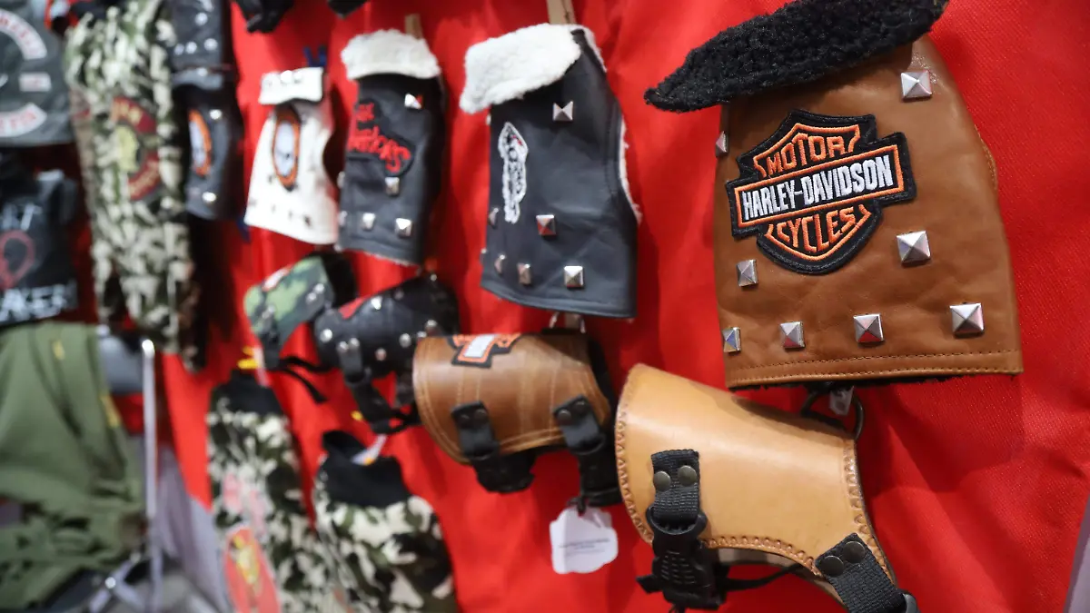 MODA PERRITOS - ROSARIO HORTA (8)