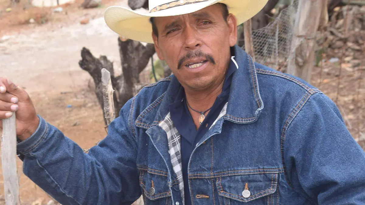 FCARMONA_SIEMBRA_ZONA_SUR