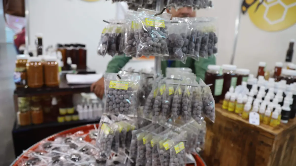 MIEL FERIA DE LEON - ROSARIO (3)