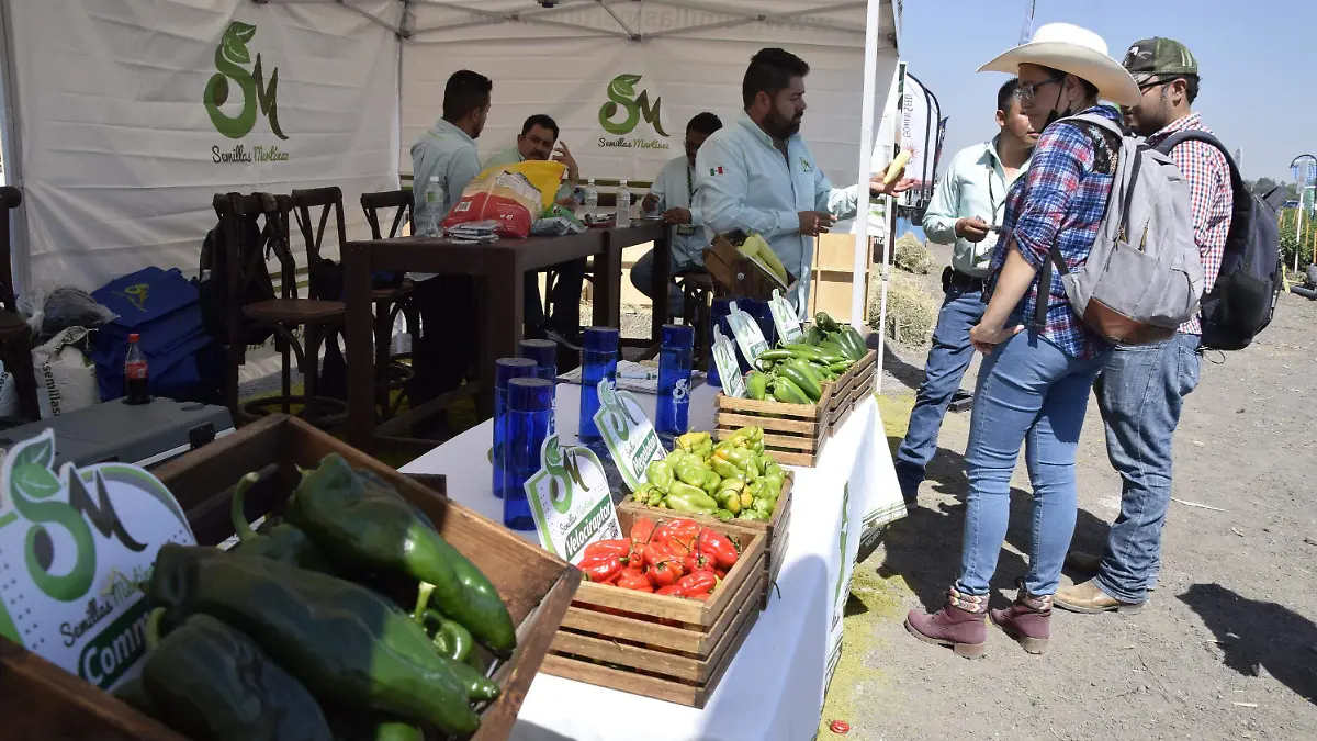 F CARMONA EXPORTACIONES (14)