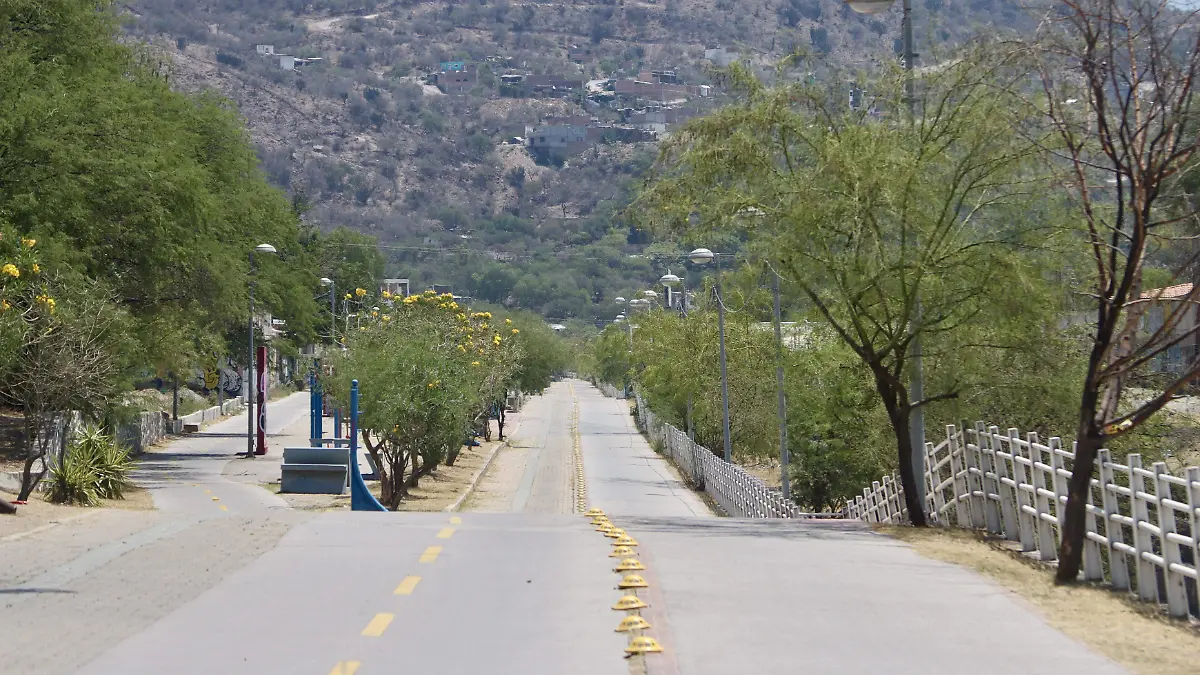 SARDENETA - Fco Meza - El Sol de León (3)